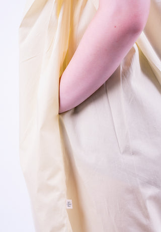 Ashita Dress